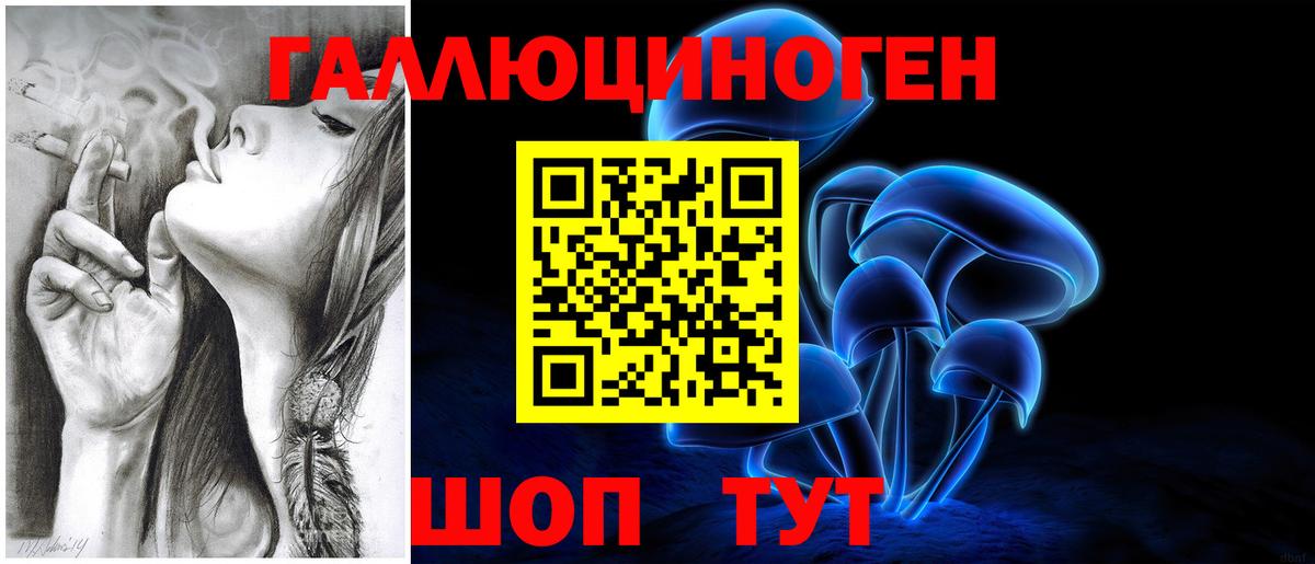Псилоцибиновые грибы Psilocybe  Вход с VPN  купить наркоту  Псилоцибиновые грибы Psilocybe  Борзя 