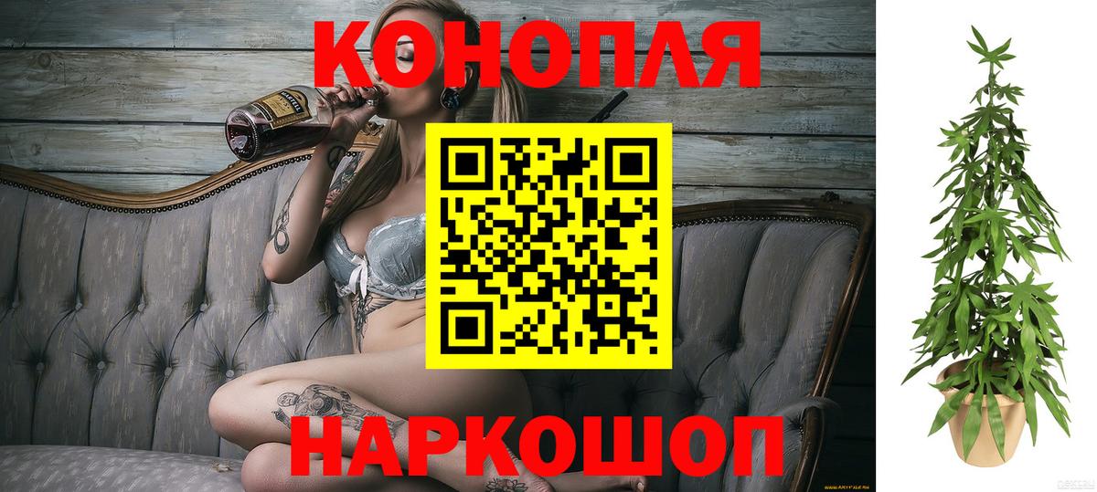 Шишки марихуана план Борзя