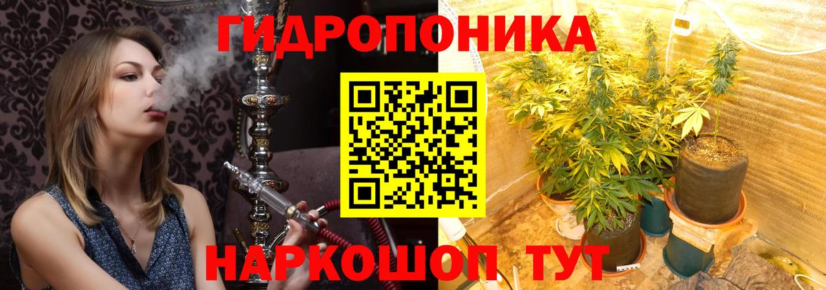 Канабис индика  Канабис сатива  Бошки Шишки Bruce Banner  Бошки Шишки ГИДРОПОН  Вход с VPN  Борзя 